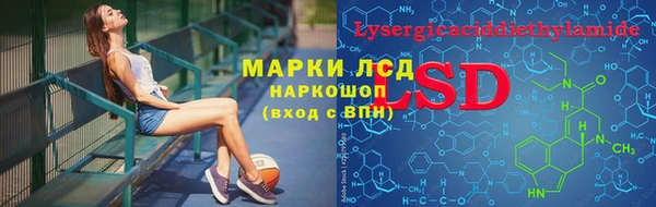 индика Алзамай