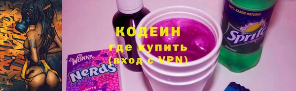 индика Алзамай