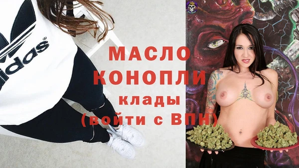 дживик Мегион