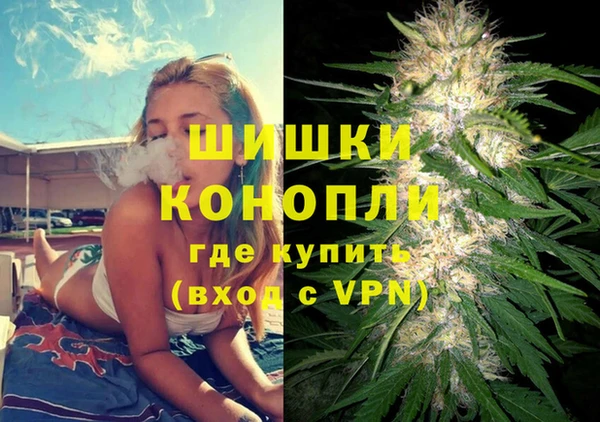 индика Алзамай