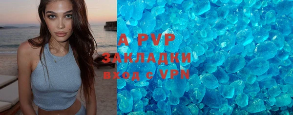 индика Алзамай