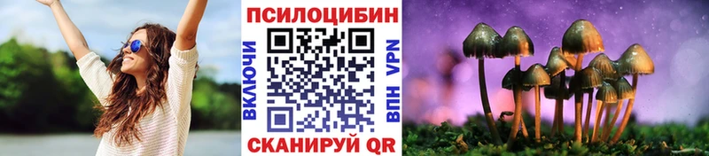 Псилоцибиновые грибы Psilocybine cubensis  как найти закладки  Ставрополь 
