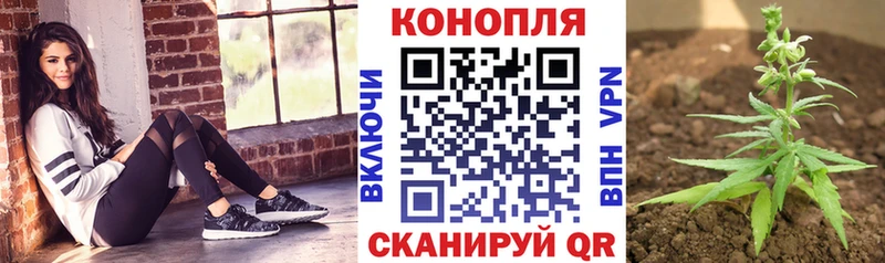 Каннабис конопля  купить  сайты  Ставрополь 
